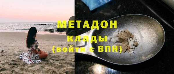 мдпв Гусев