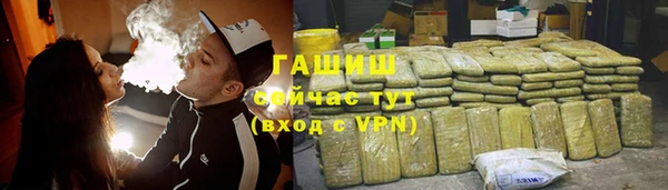 мдпв Гусев