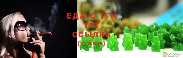 мдпв Гусев