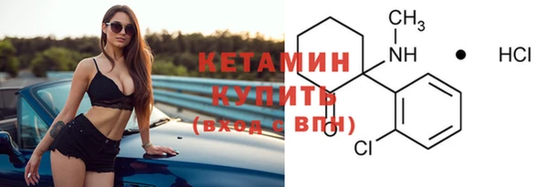 мдпв Гусев