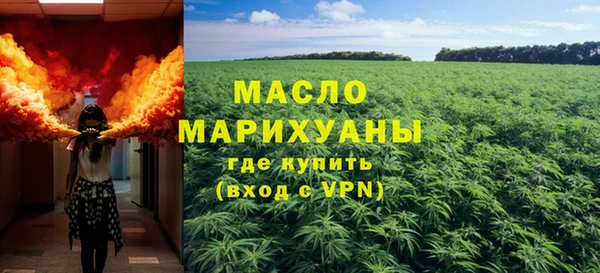мдпв Гусев