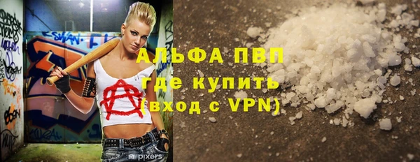 мдпв Гусев