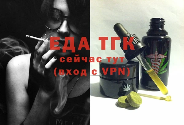 мдпв Гусев