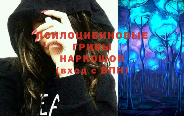 мескалин Гусь-Хрустальный