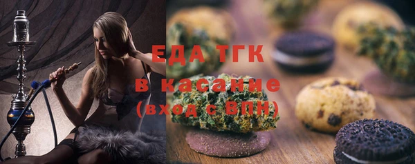 мдпв Гусев